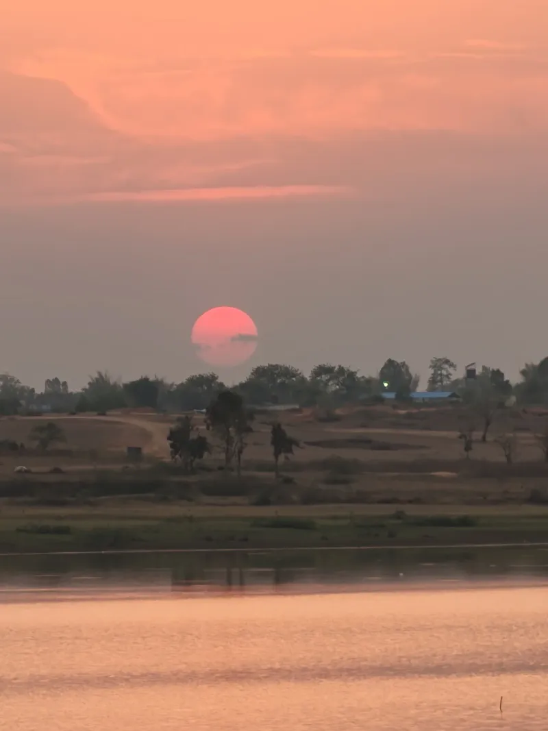 Nature's quiet masterpiece painted in soft pink hues.
