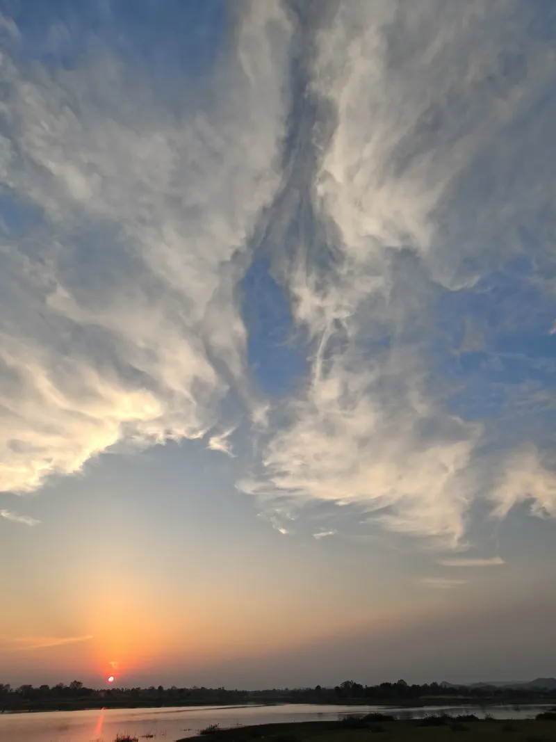 Nature’s brush painting a feathered farewell across the sky.
