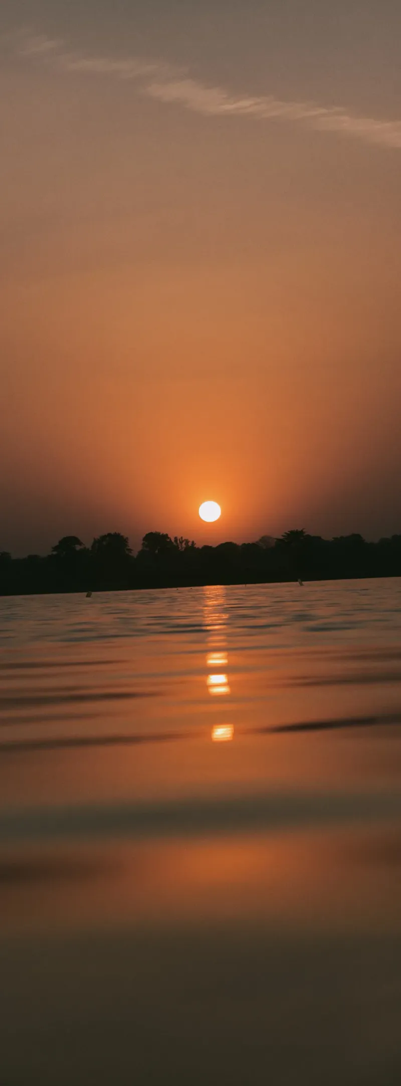 Golden ripples dancing under a warm amber sky.