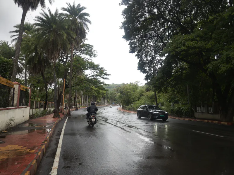 Cruising through a lush, rain-washed tropical avenue.