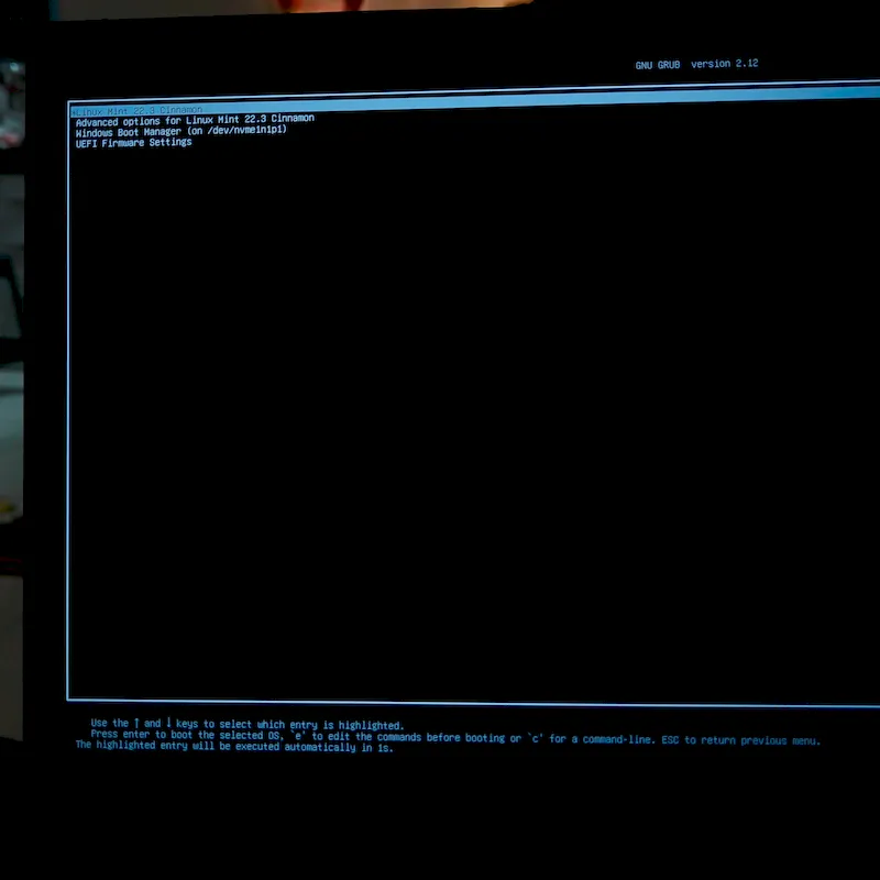 Decisions, decisions: Linux or Windows today?