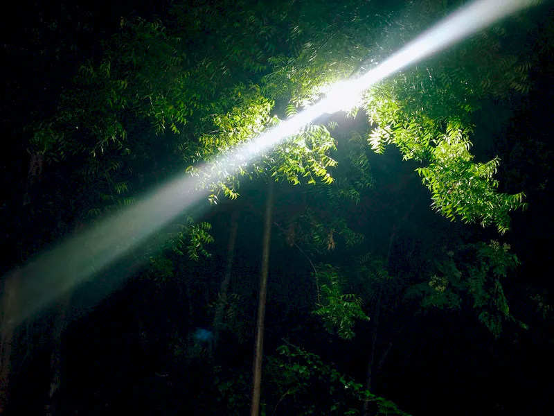 A single beam cutting through the dark night.