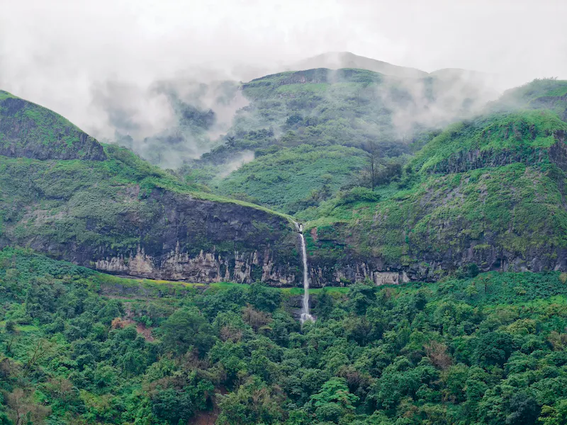 A misty mountain escape into lush green serenity.